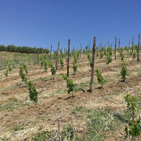 Modern With Panoramic View 别墅 *