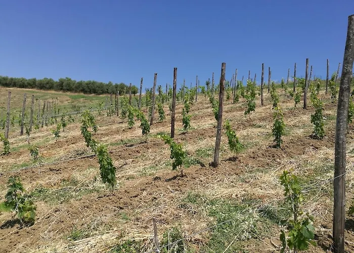 Modern With Panoramic View Villa *